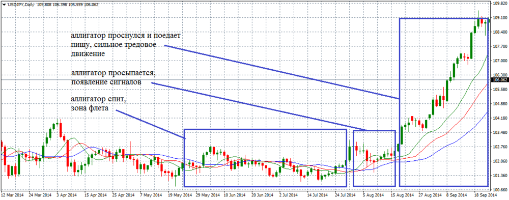 The Alligator indicator: how to use it in trading
