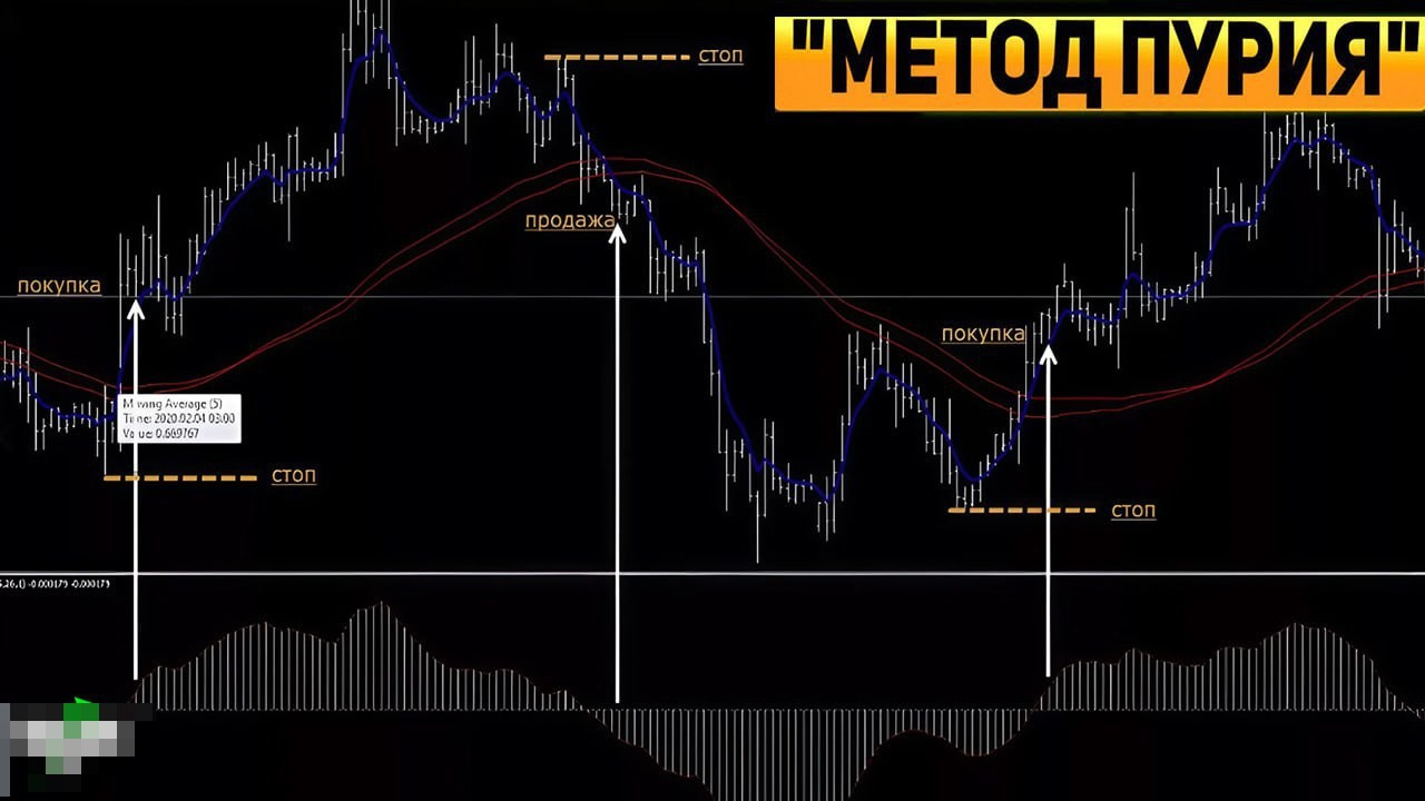 The Puria Method: a professional scalping algorithm